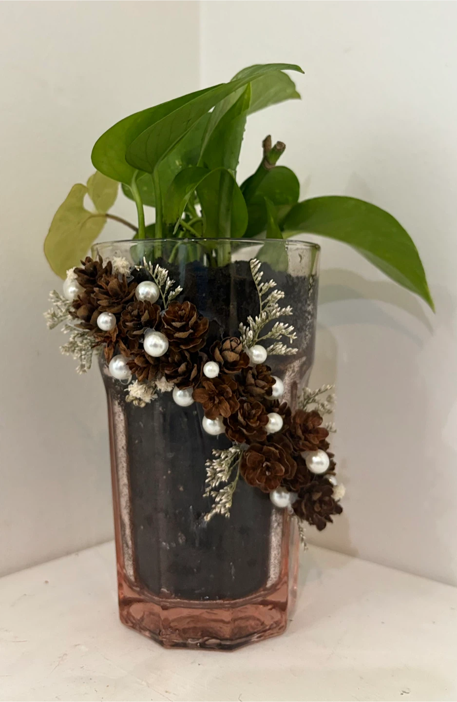 🤩Pothos Plant in Decorative Glass Vase - photo 4
