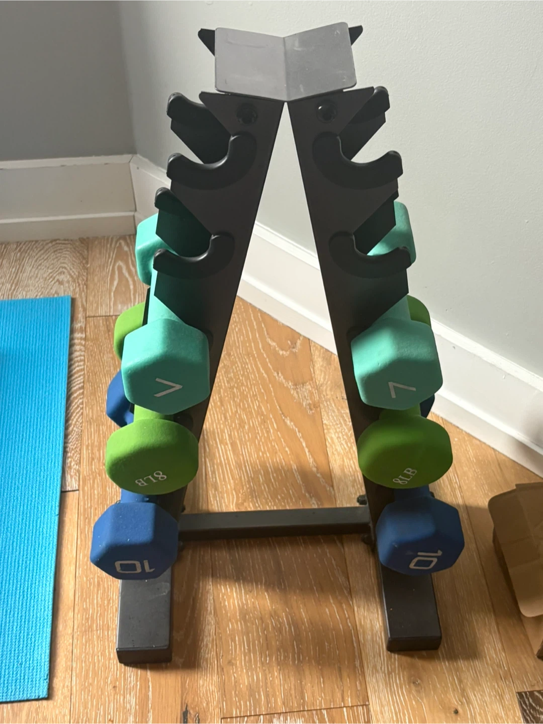 Dumbbell Set with Rack