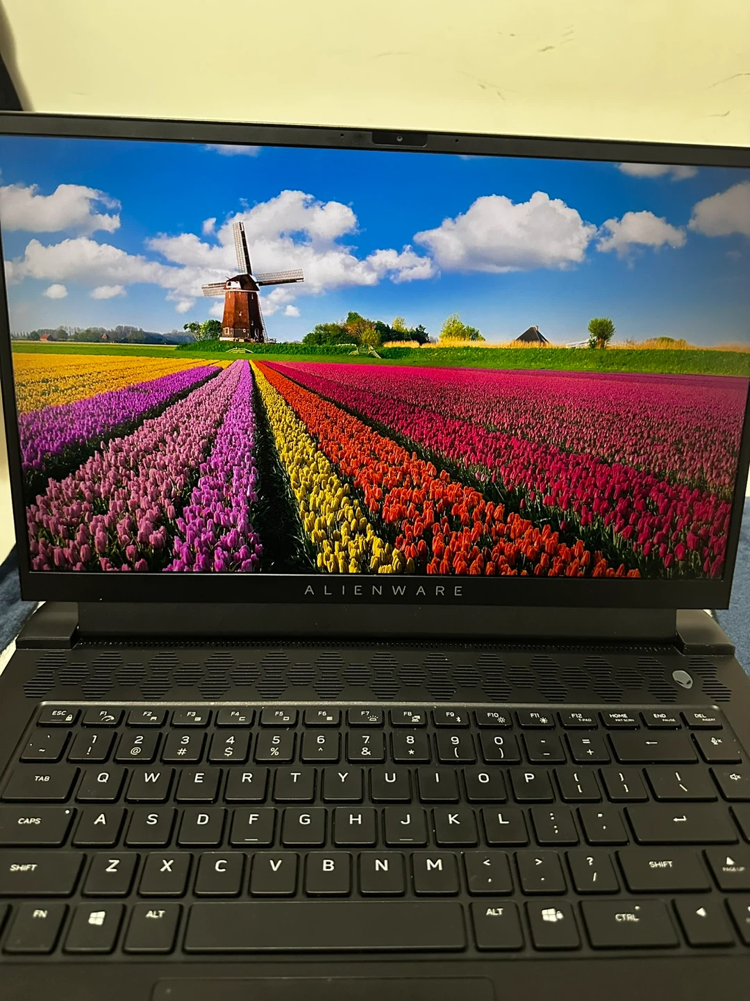 Alienware Laptop M15 ryzen edition R5