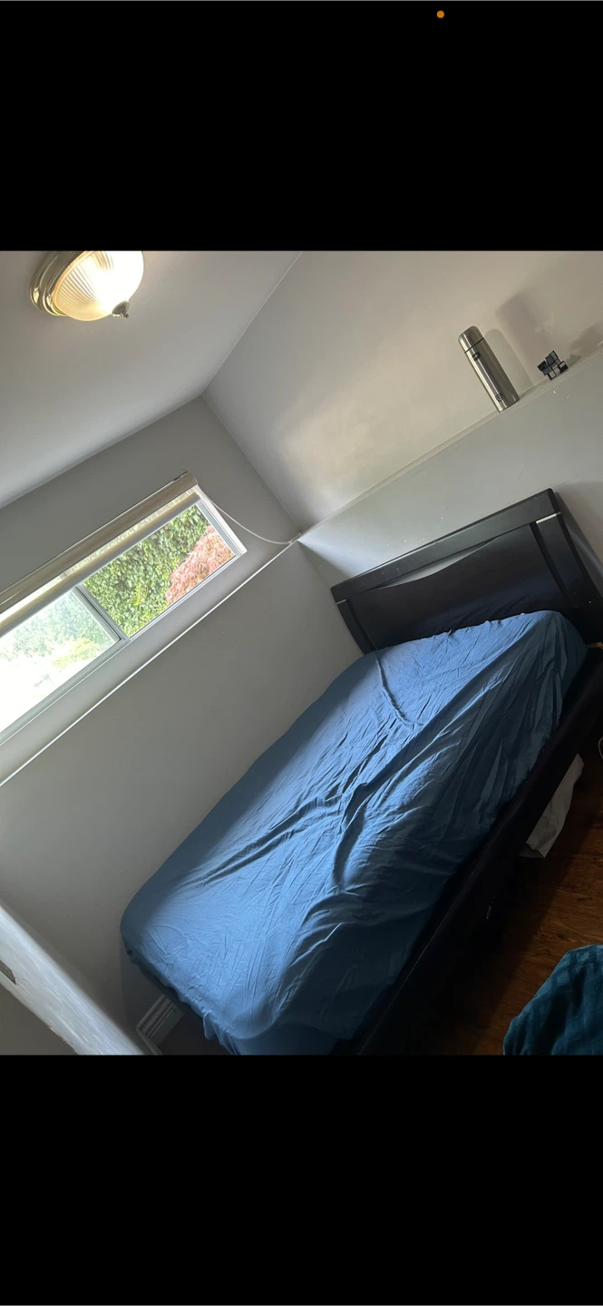 2 bedroom 1 bathroom Basment - photo 5