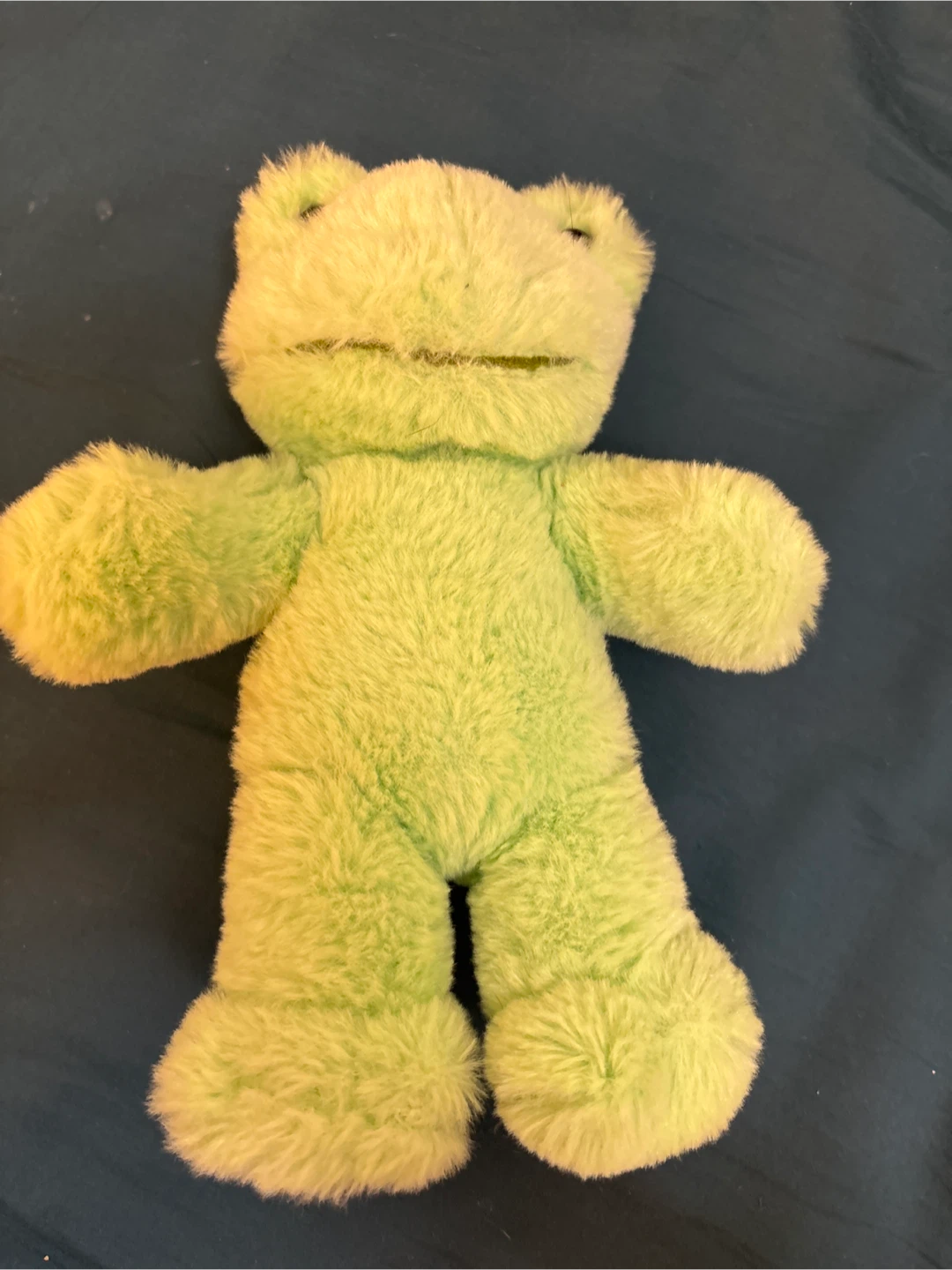 Build-A-Bear Workshop Frog Plush - photo 3