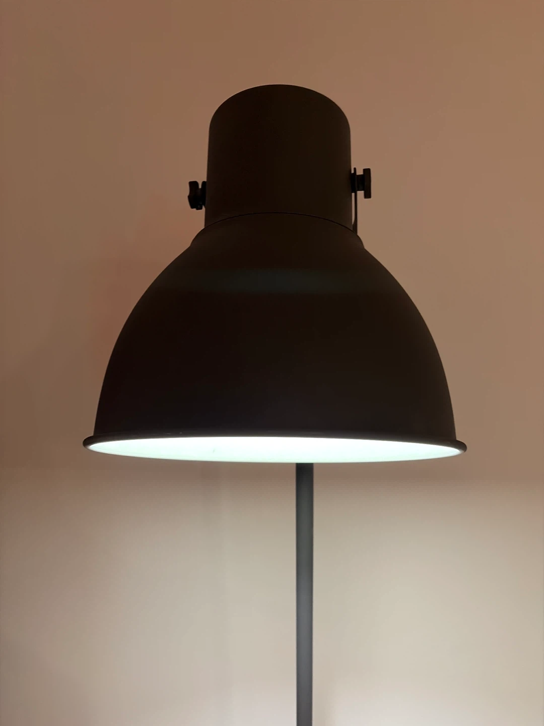 Dark Grey Floor Lamp (HEKTAR) - photo 3