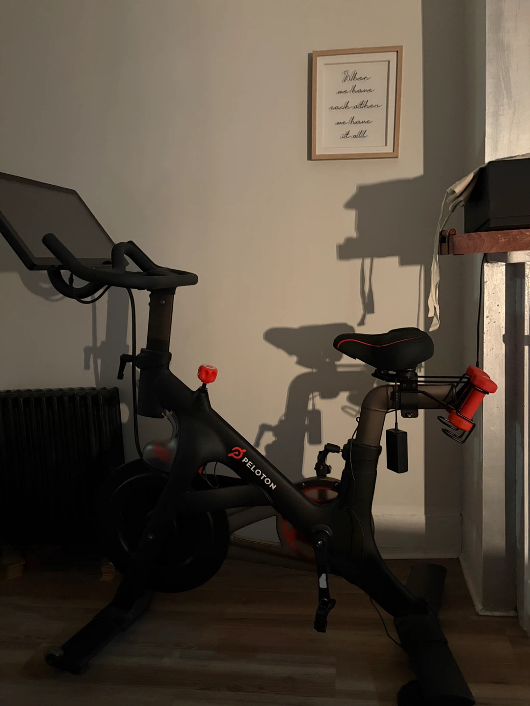 Peloton Bike