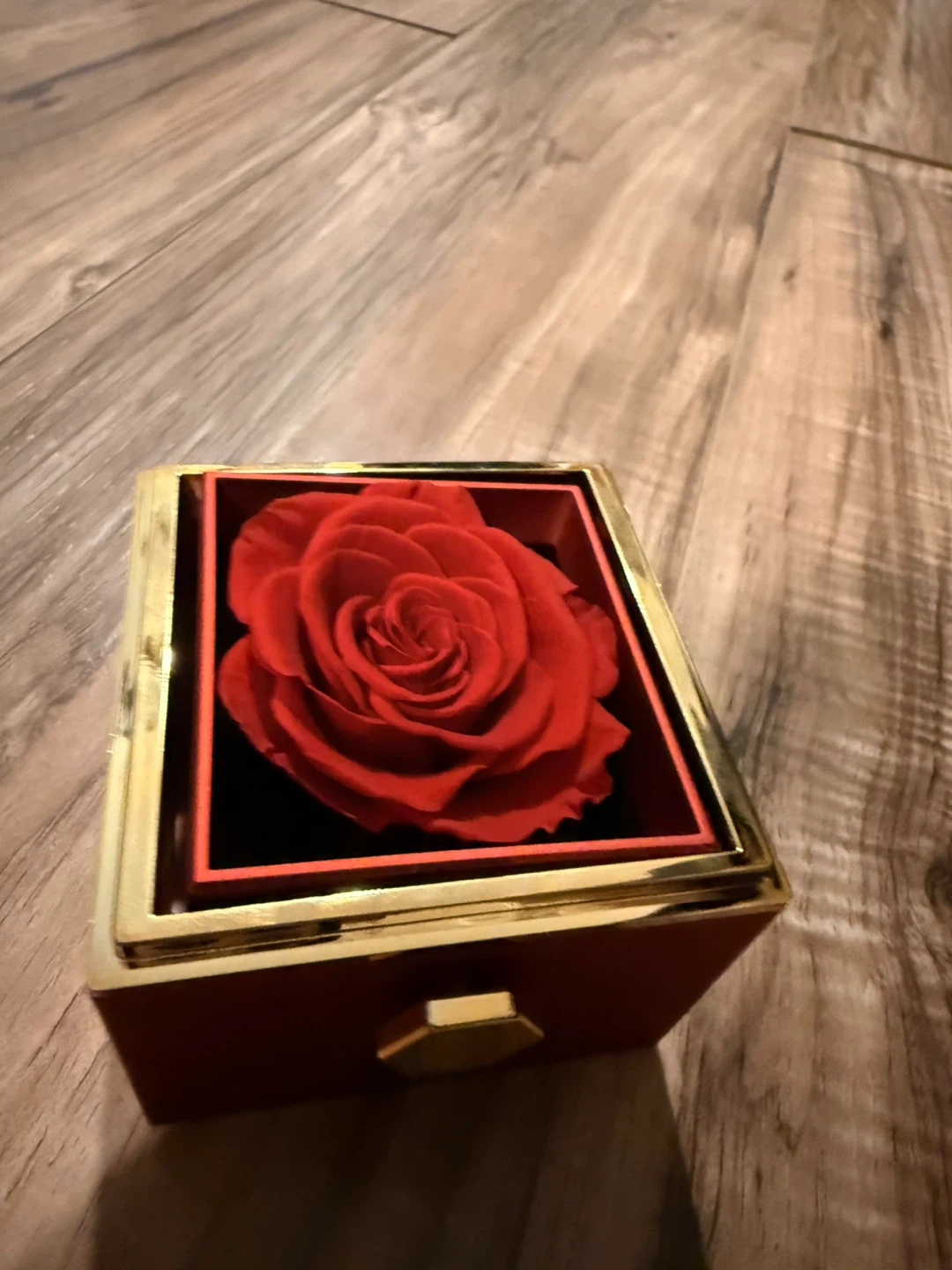 Eternal red rose and a cute necklace - photo 2