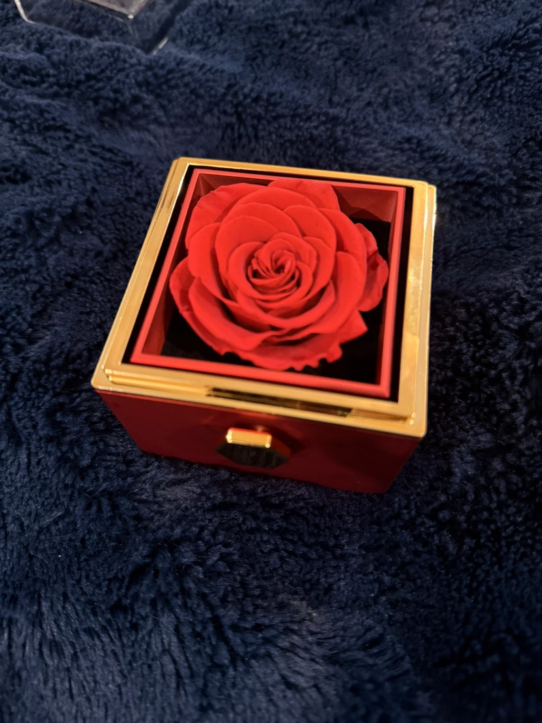 Eternal red rose and a cute necklace - photo 3