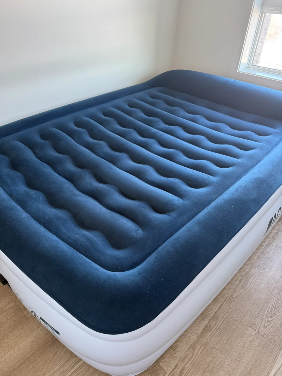 Air Mattress (Queen 22”)