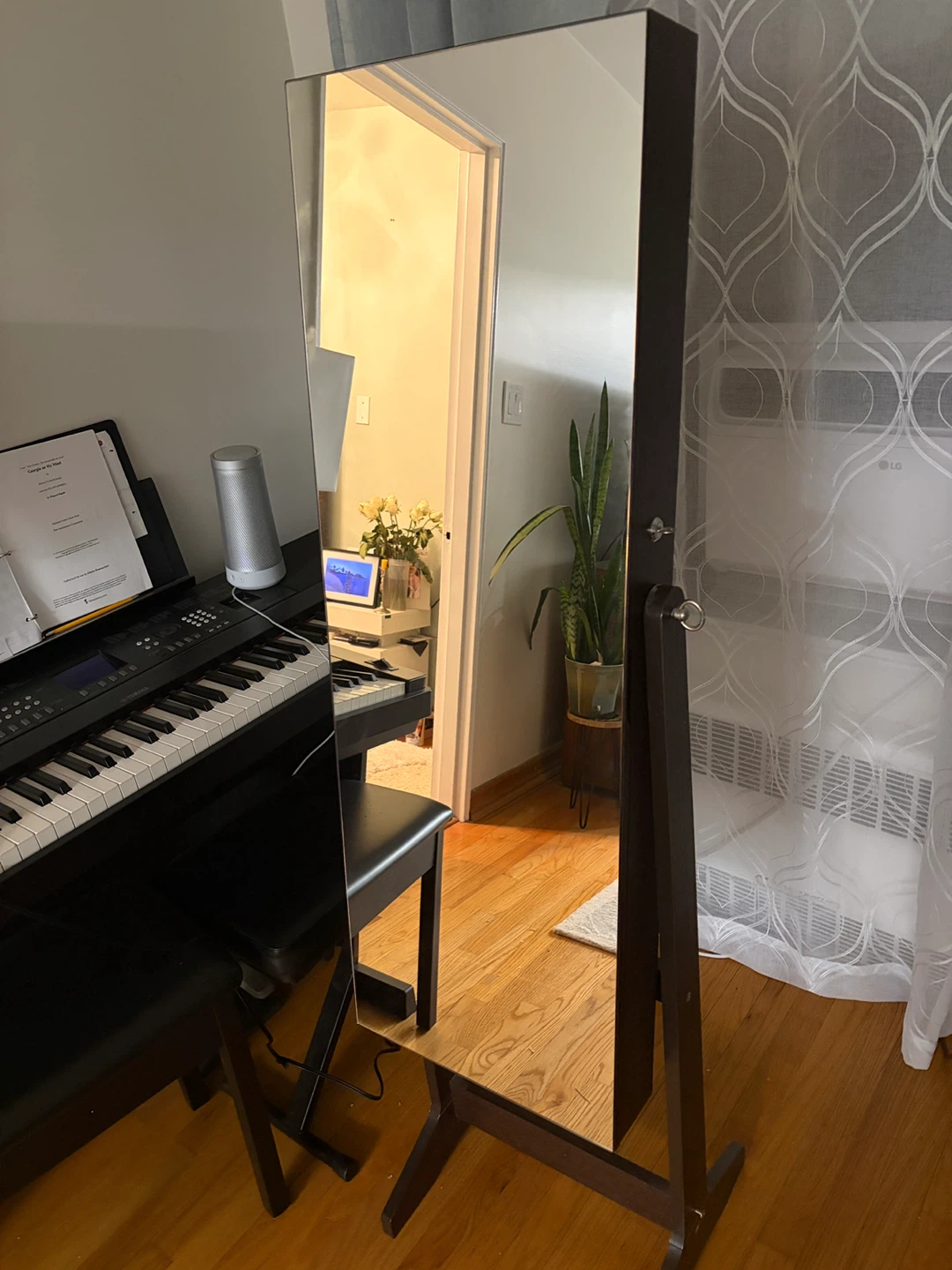 Standing Full Length Mirror