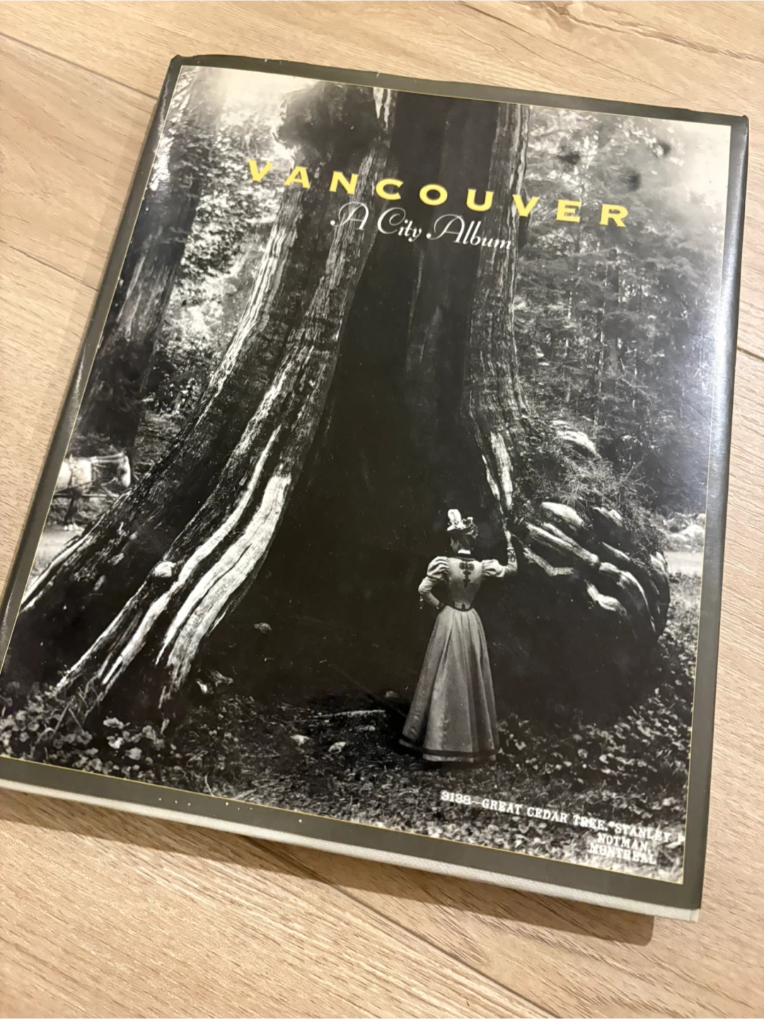 Vancouver A City Album Book Douglas and McIntyre