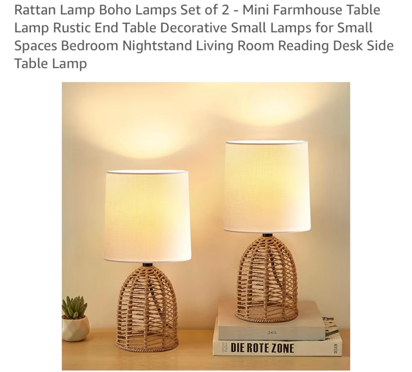 New 2 Boho Rattan Table Lamps