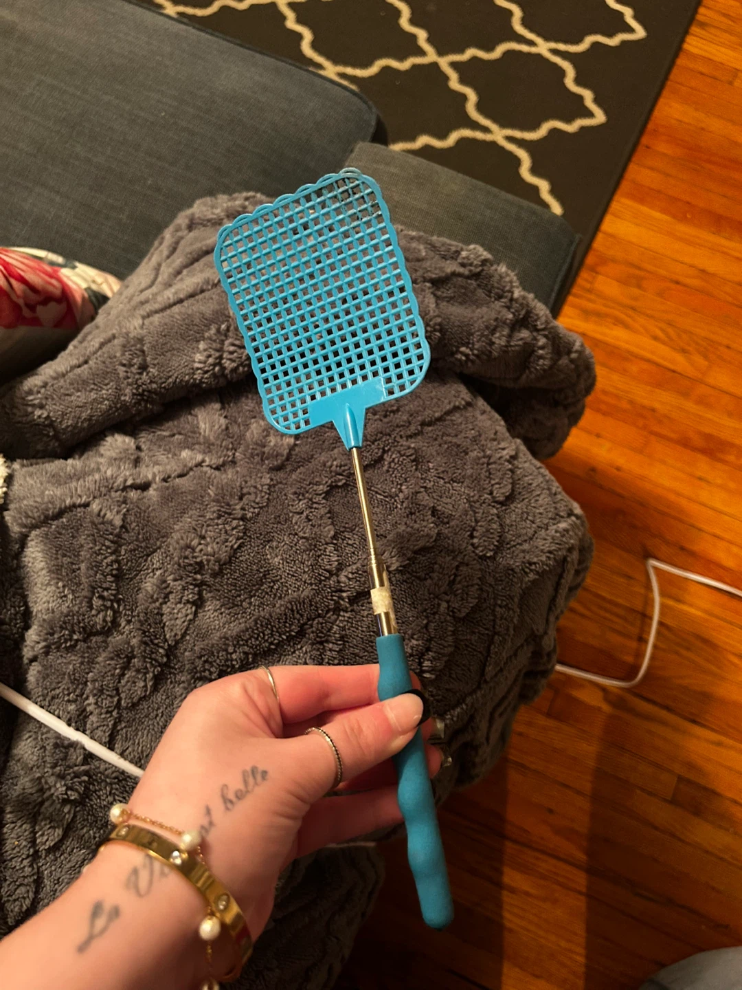 Blue Fly Swatter #freecycle