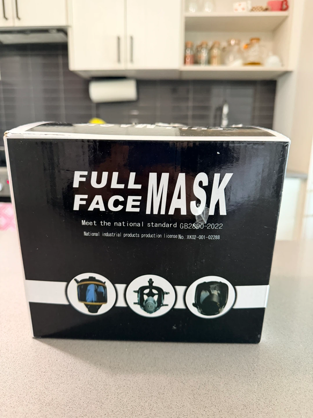 Full Face Mask GB2890-2009 Dust Chemicals - photo 2