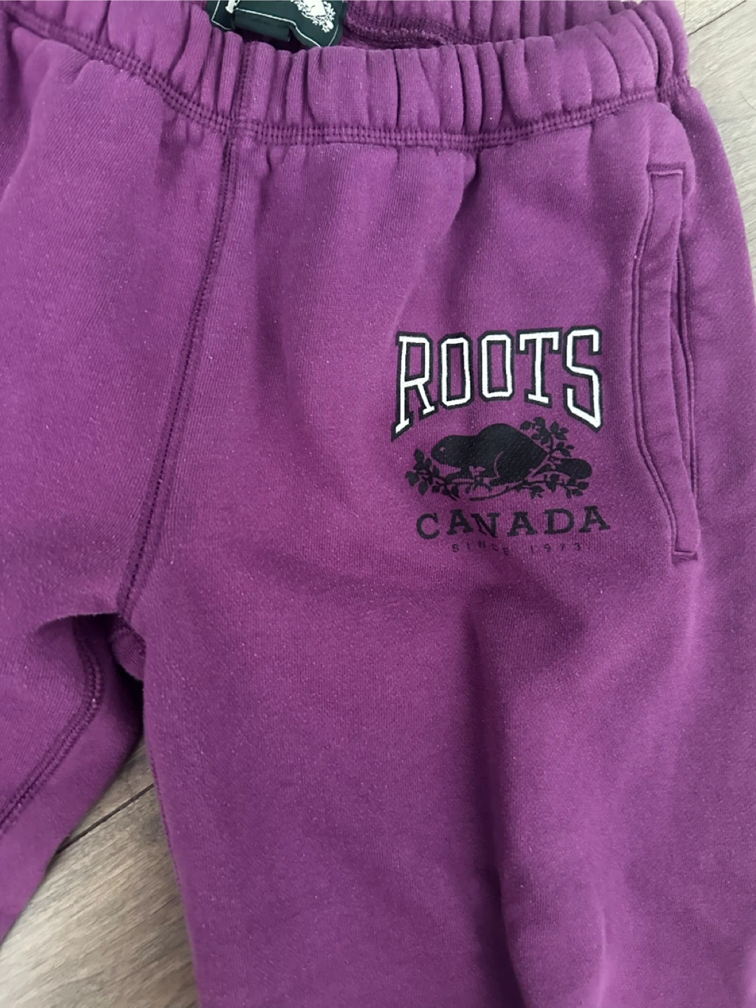 Roots Canada Sweatpants - Purple - photo 2