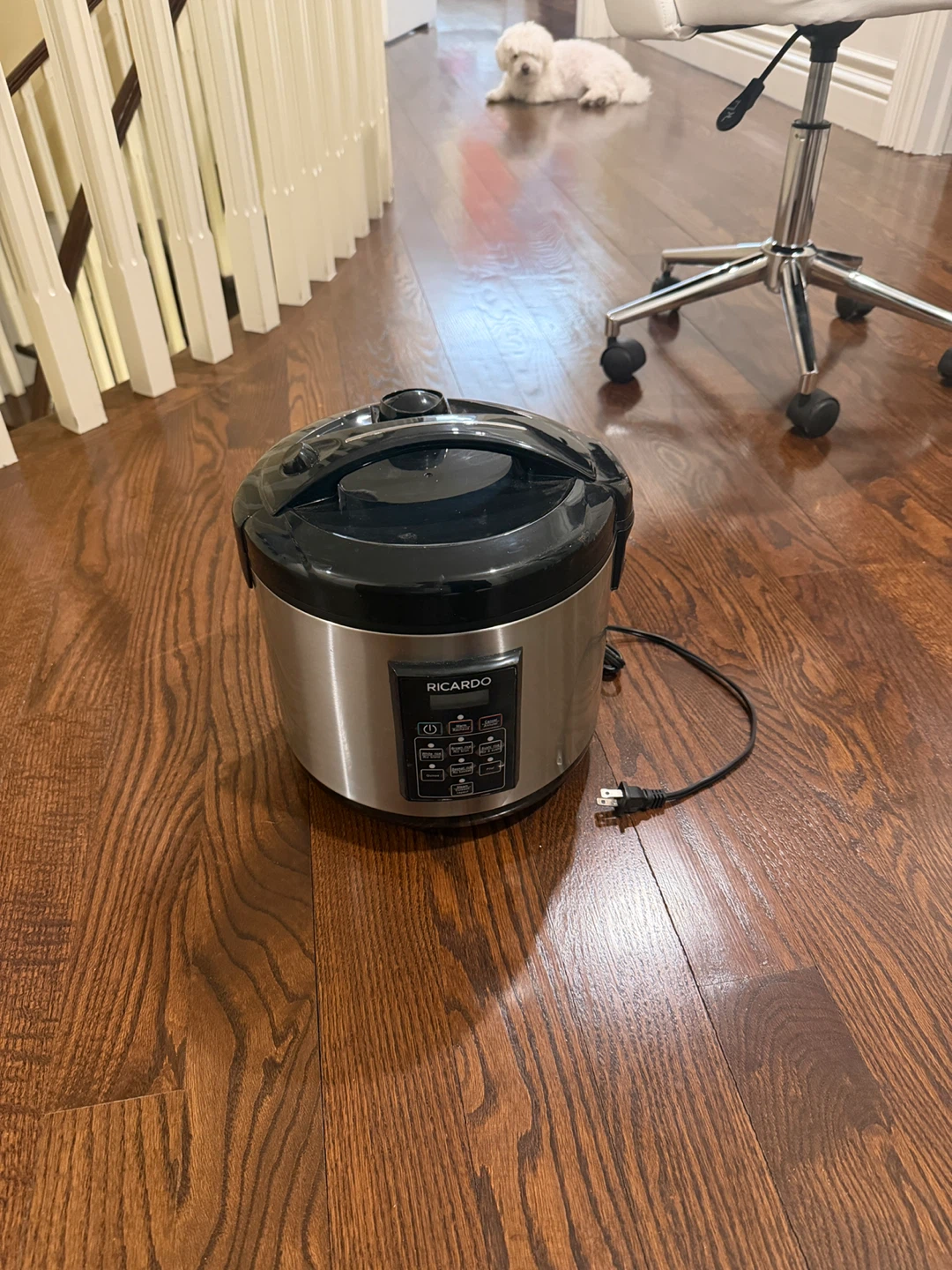 Ricardo Rice Cooker