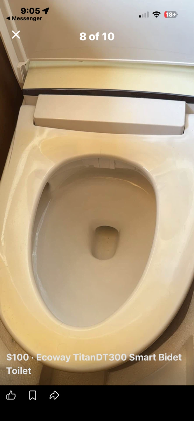 Ecoway TitanDT300 Smart Bidet Toilet