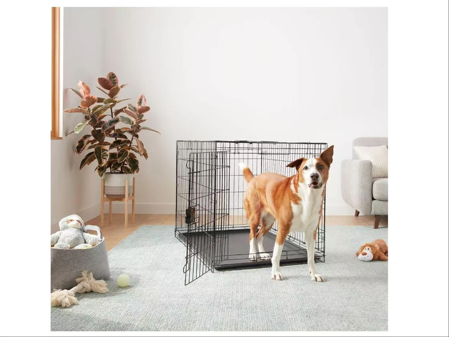 Wire Dog Crate with Tray - photo 2