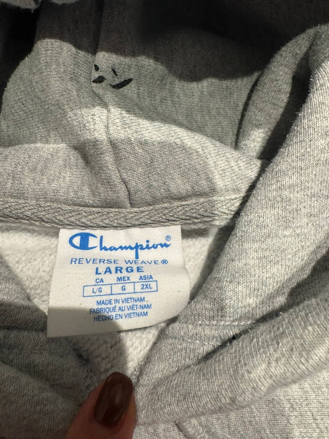 Champion Reverse Weave Hoodie - photo 2