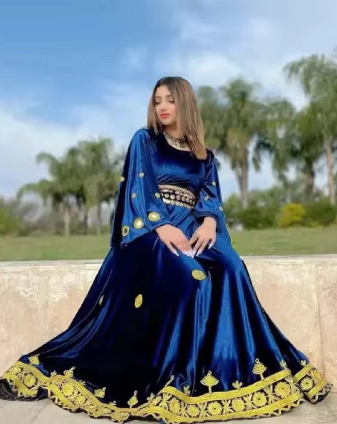Royal Blue Velvet Dress with Gold Embroidery