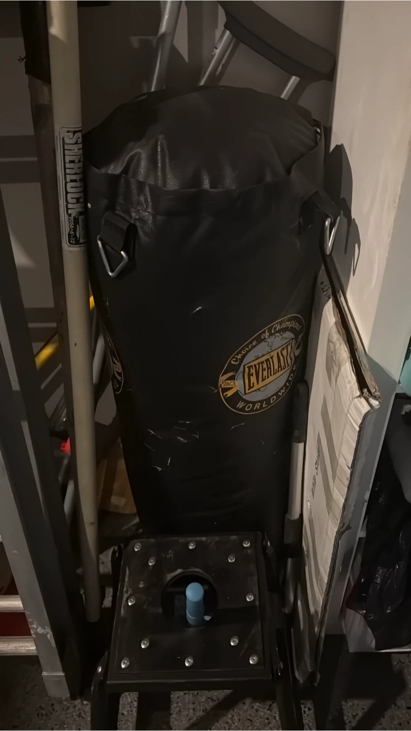Everlast Punching Bag