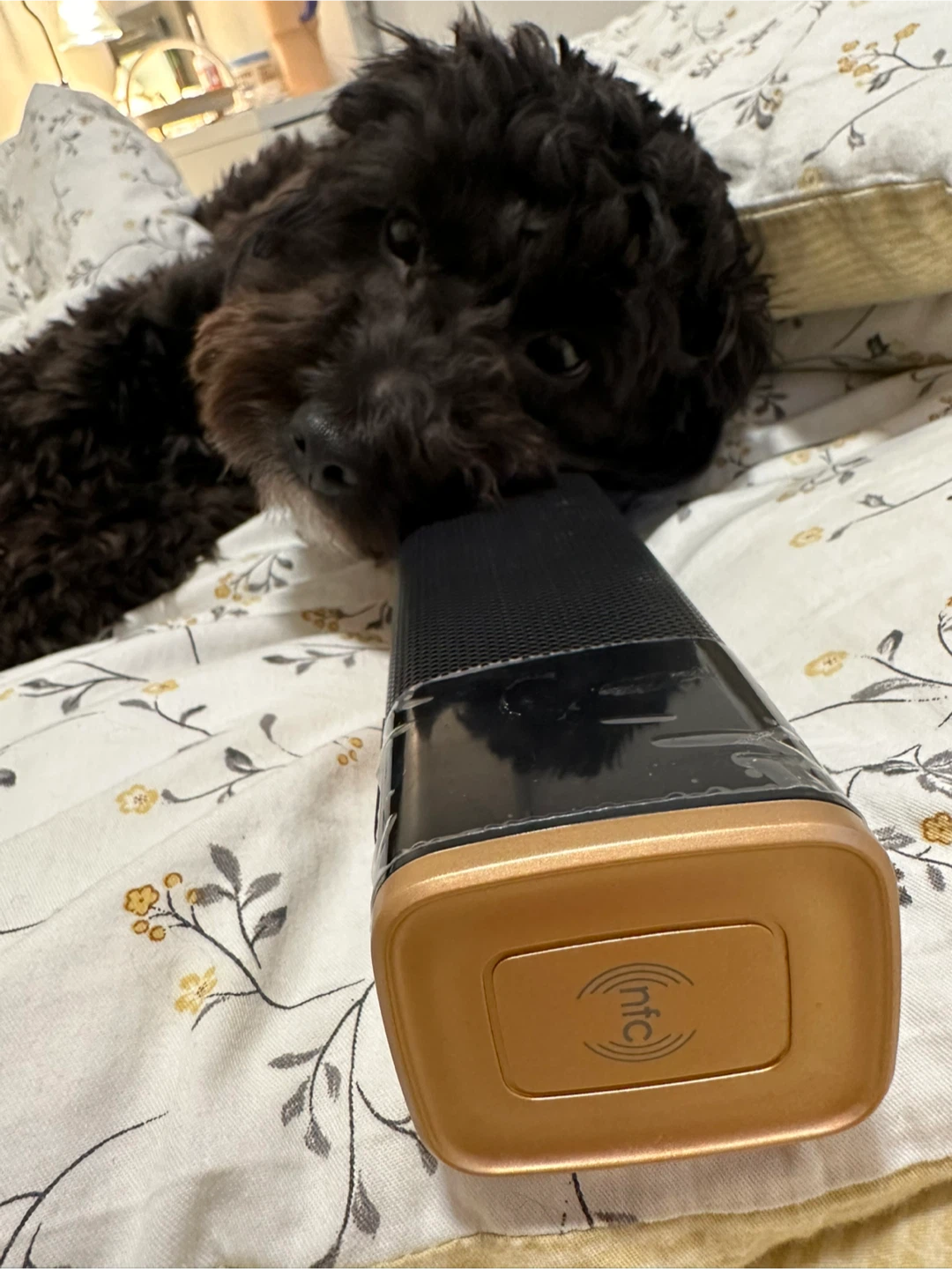 Portable Bluetooth Speaker 20W Gold - photo 5