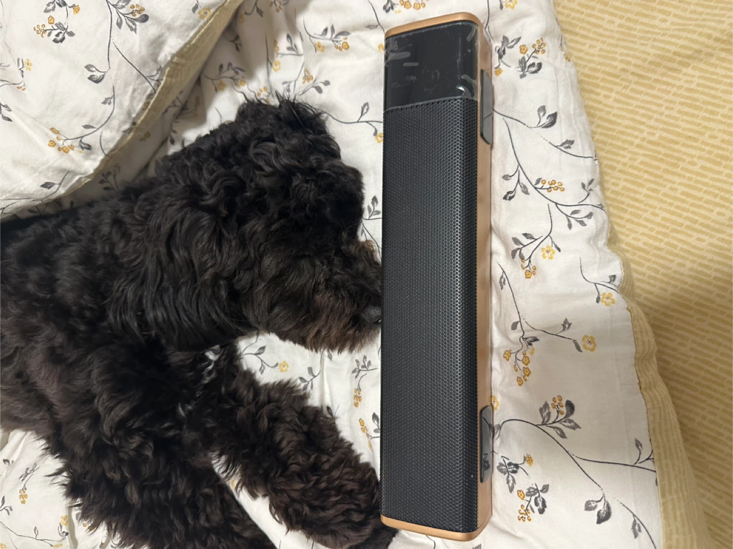 Portable Bluetooth Speaker 20W Gold - photo 2