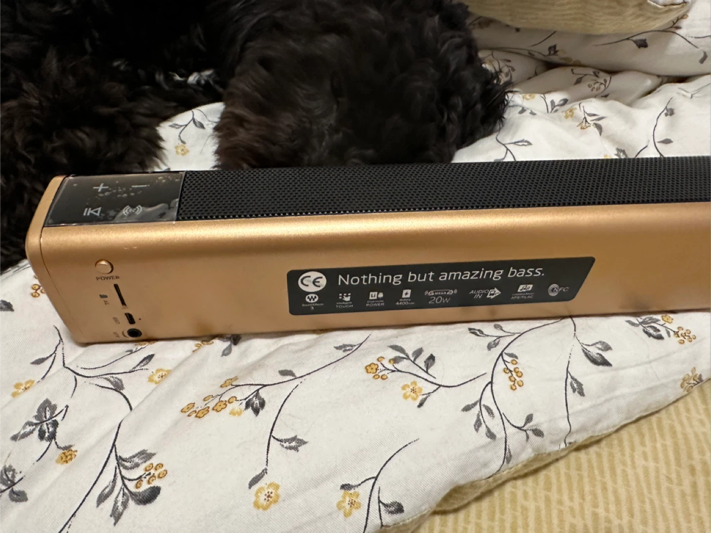 Portable Bluetooth Speaker 20W Gold