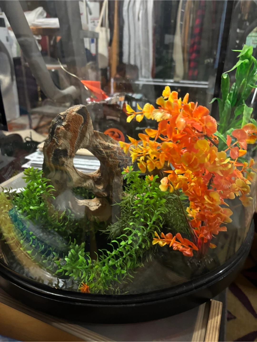 Top Fin Automatic Fish Tank and Feeder - photo 4