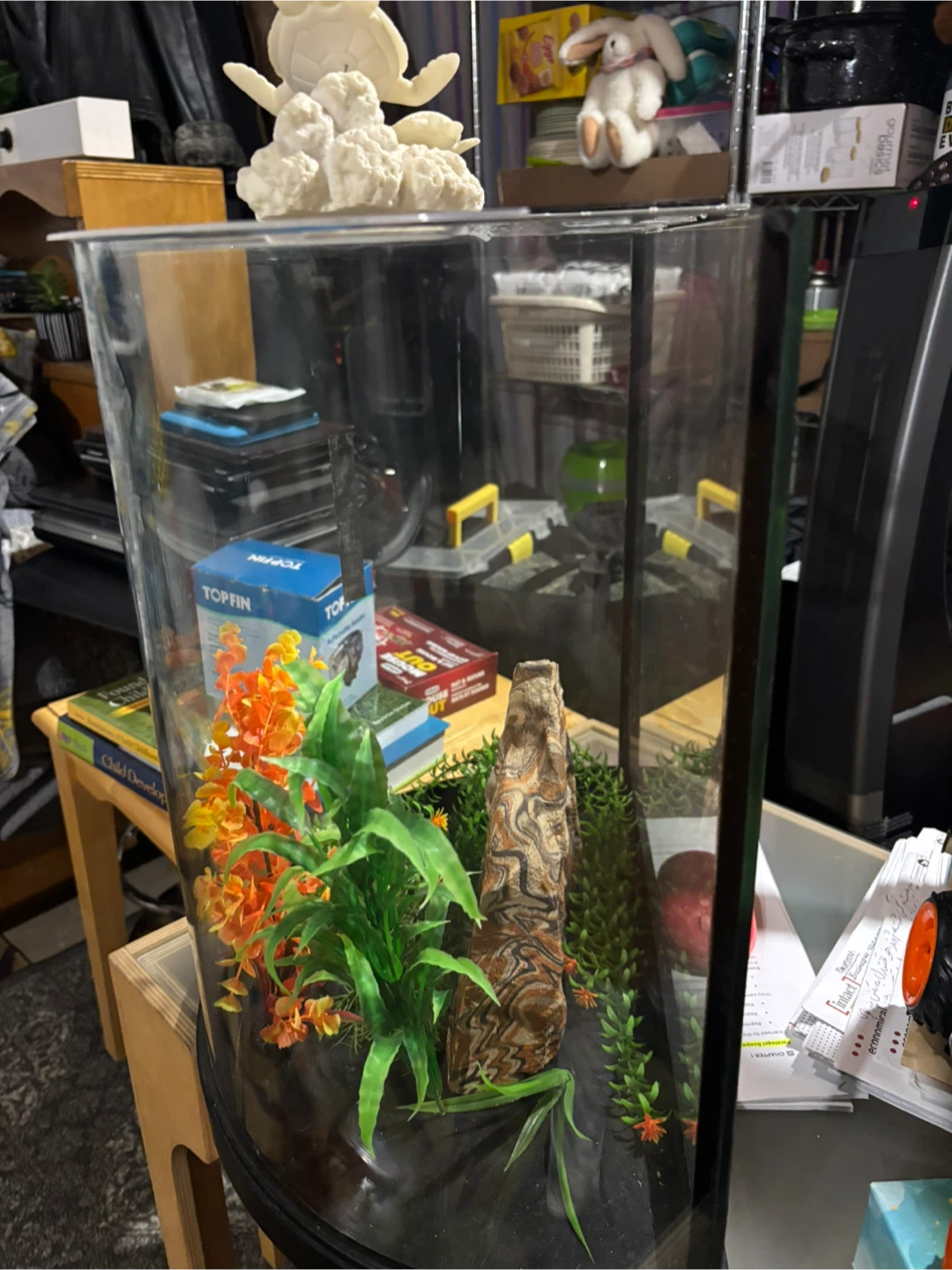 Top Fin Automatic Fish Tank and Feeder
