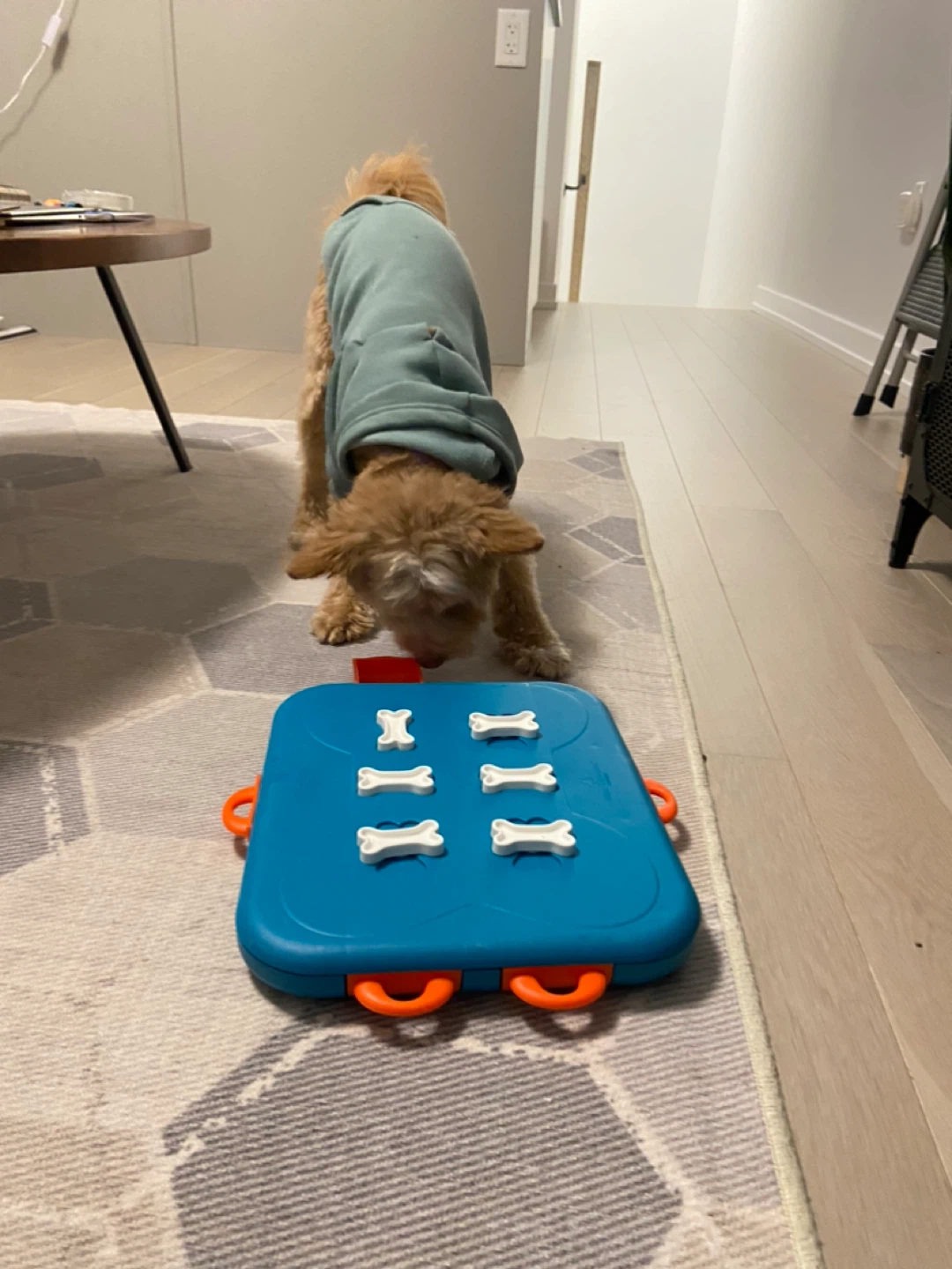 Nina Ottosson by Outward Hound Interactive Treat Puzzle Dog Toy