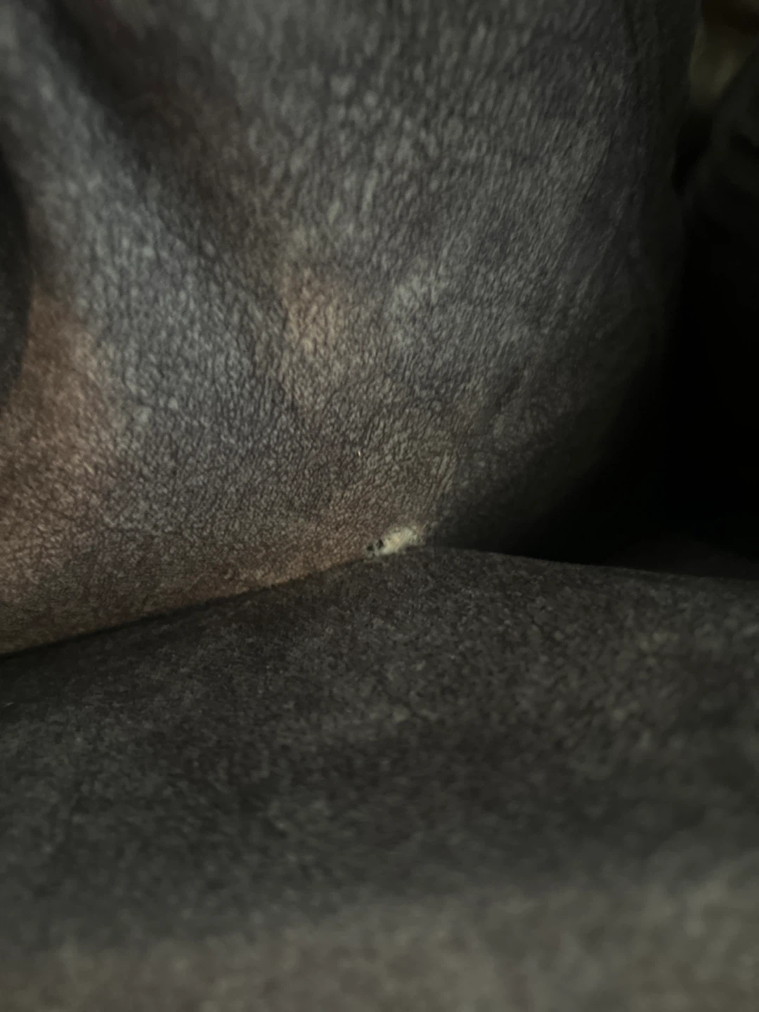 Grey L couch - photo 4