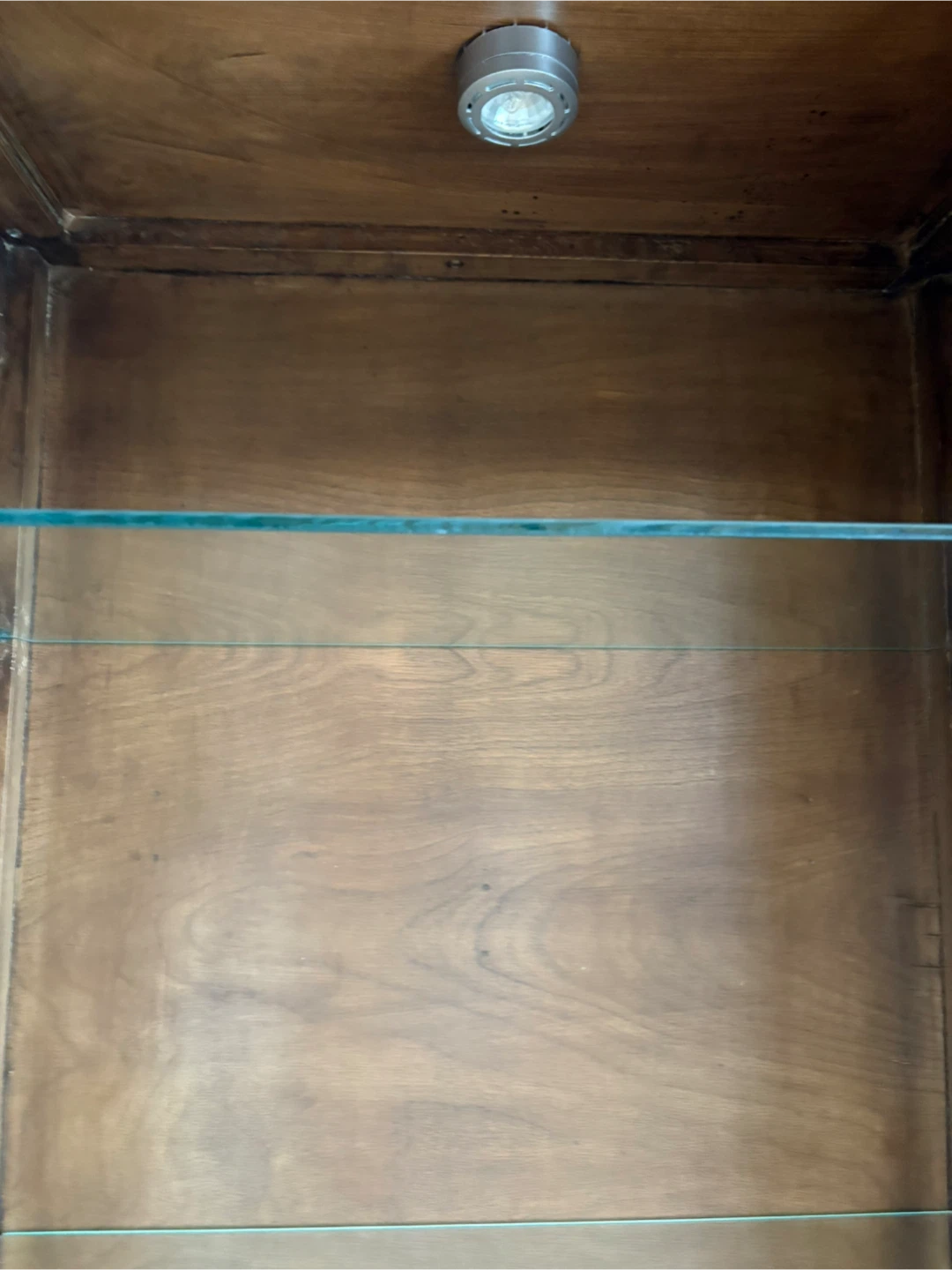Wooden Display Cabinet with Glass Door and Interior Light - photo 3