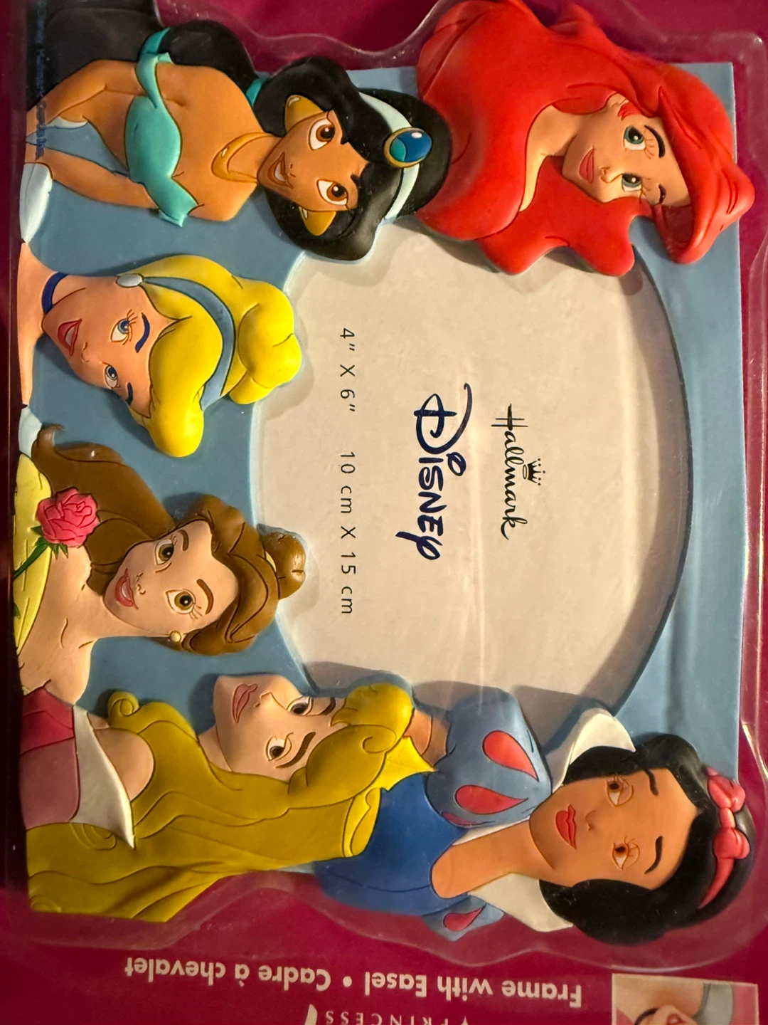 Disney Princess Frame