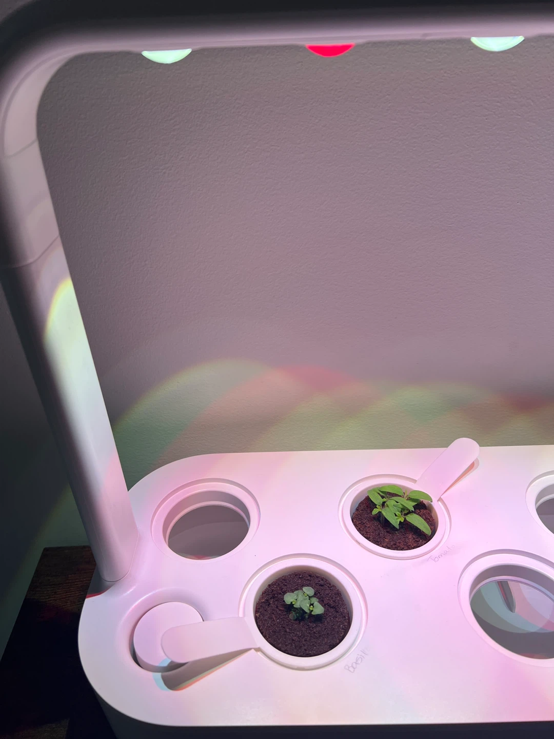 Click & Grow 9 Pod Indoor Smart Garden w/ Grow Light - photo 2