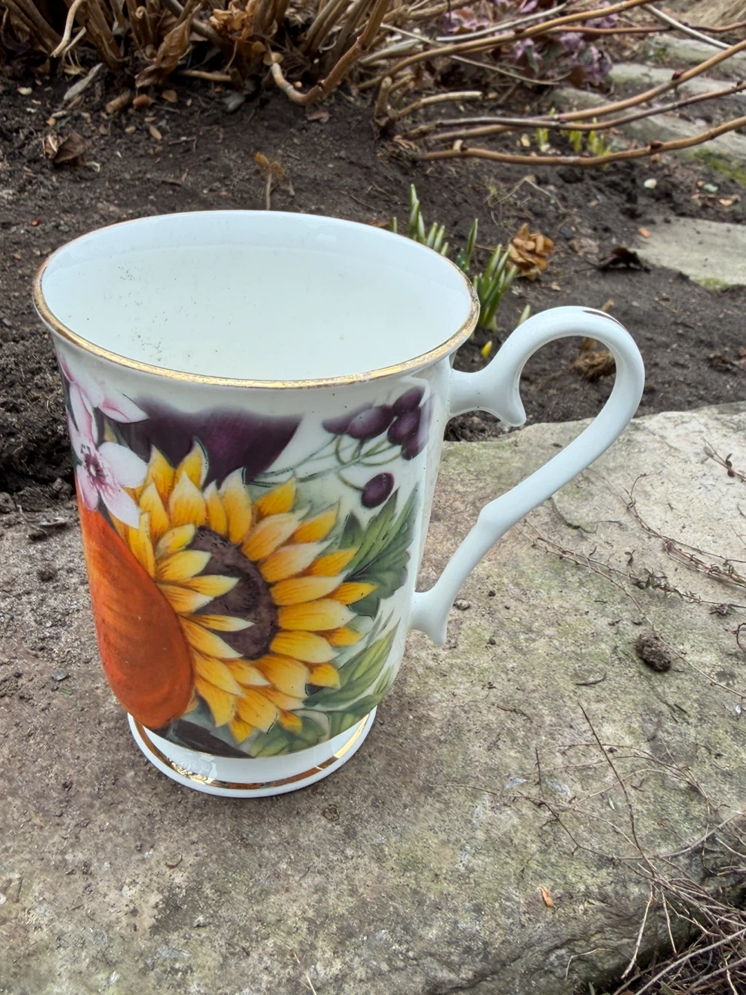 Royale Garden Bone China Mug