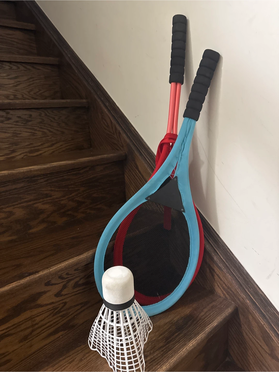 2 Badminton Rackets and Shuttlecock Set