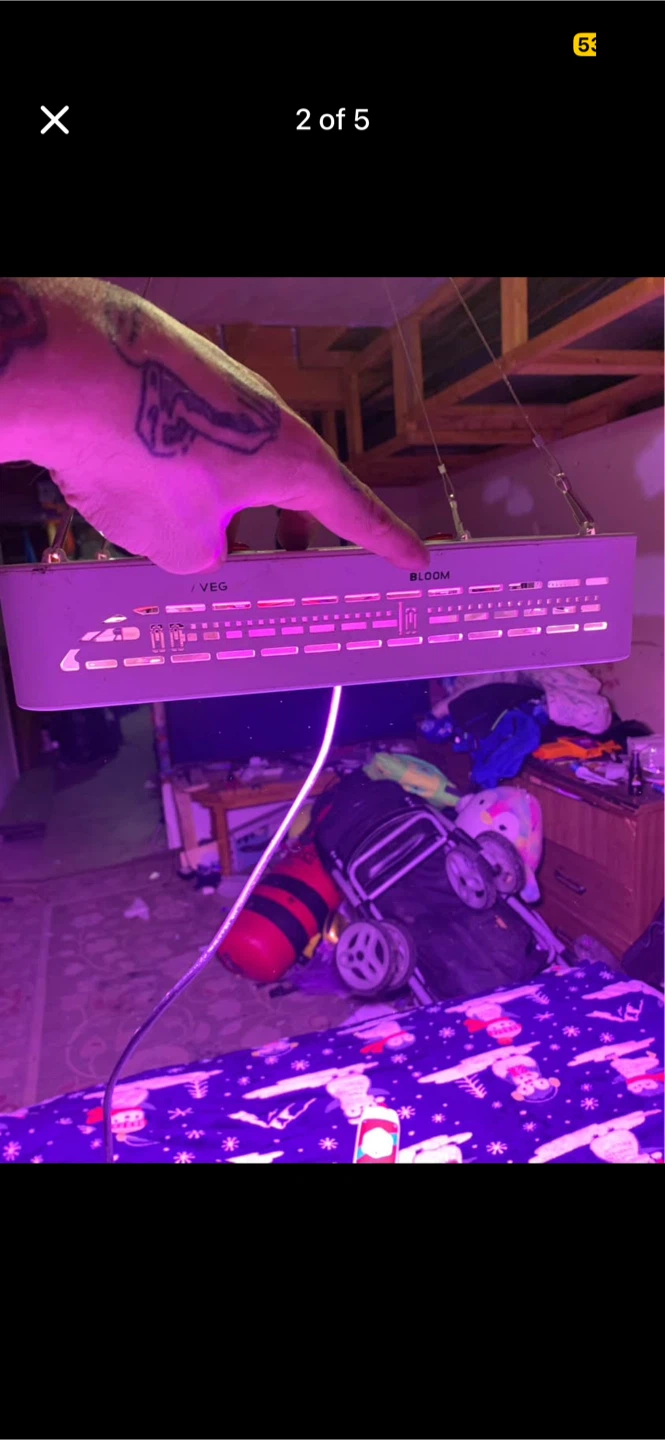 Likesuns LED Grow Light - photo 3
