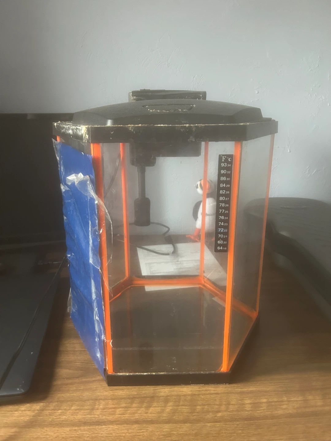 Aqueon Small Hexagon Aquarium Tank