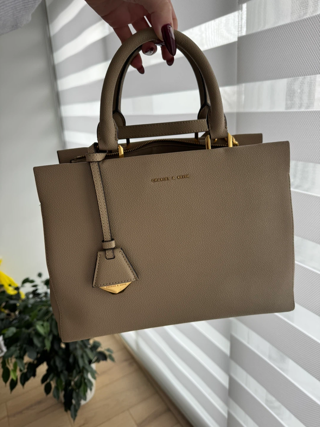 Charles & Keith Taupe Top Handle Bag