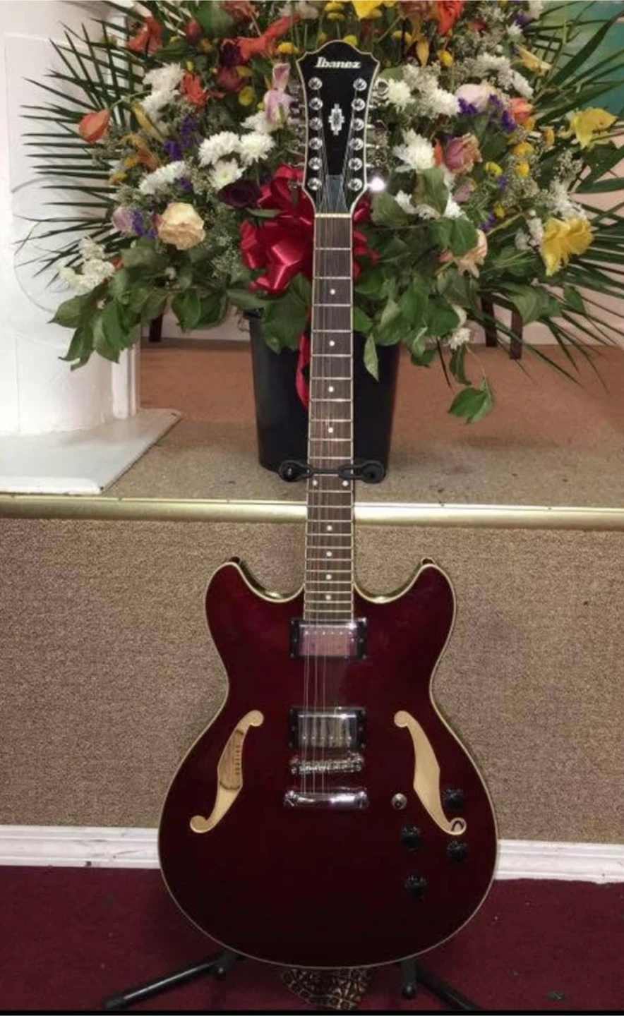 Ibanez Electric Guitar