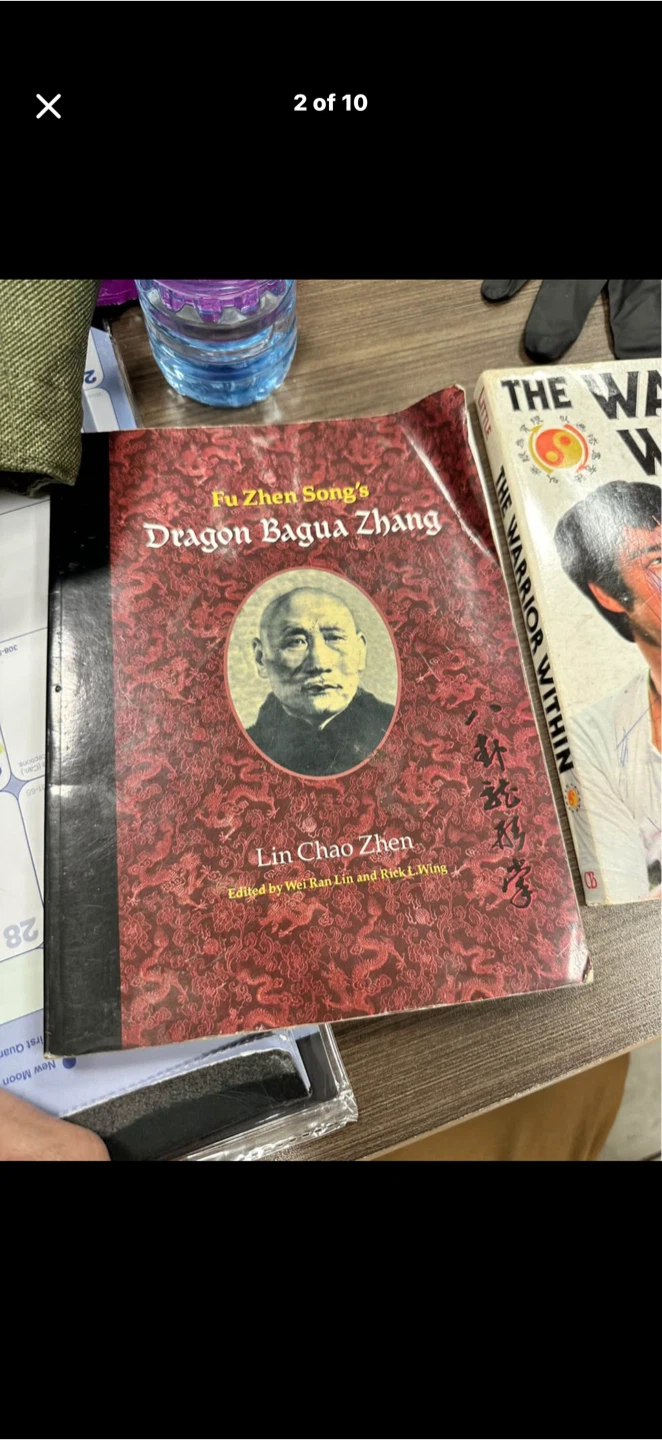Fu Zhen Song's Dragon Bagua Zhang Book