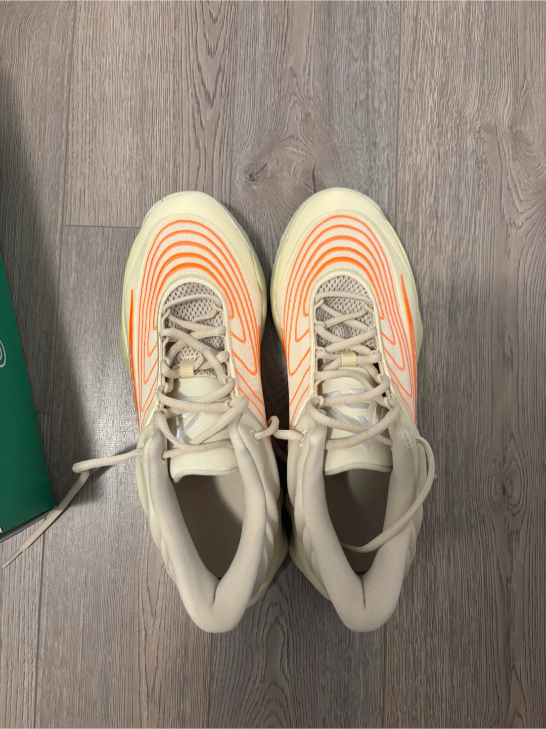 Nike Giannis Immortality 2 size 11