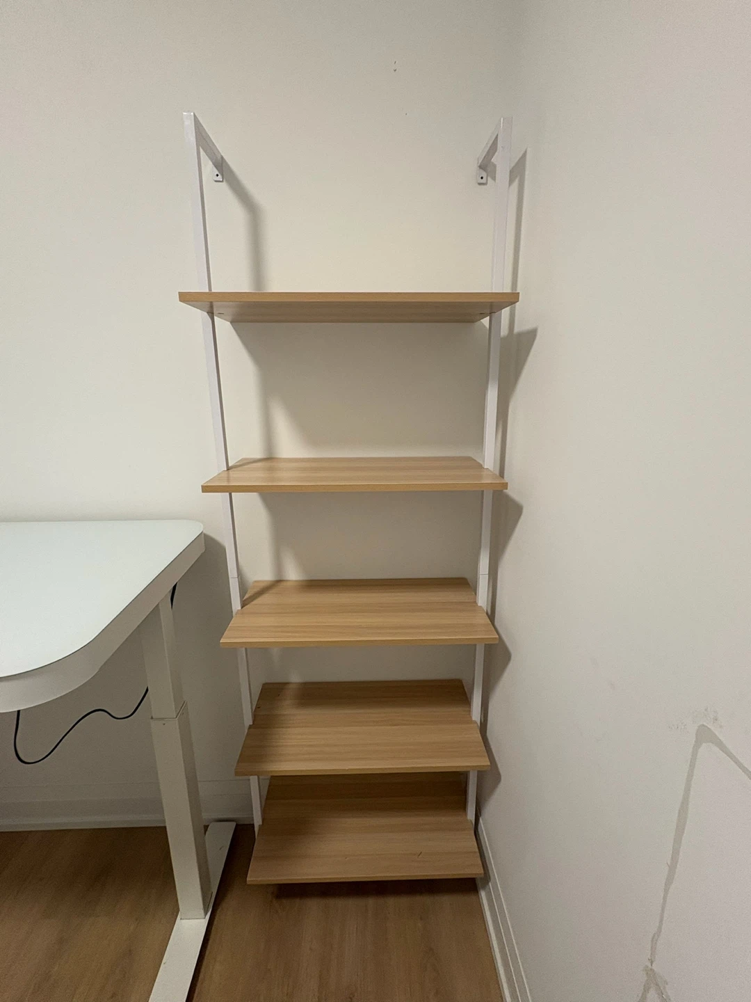 Ladder Bookshelf