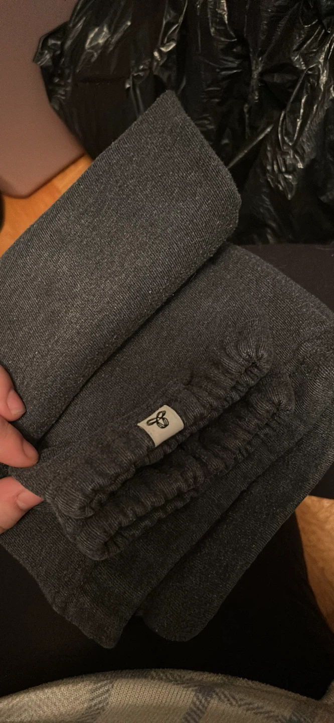 Roots and Aritzia Sweatpants bundle - photo 4