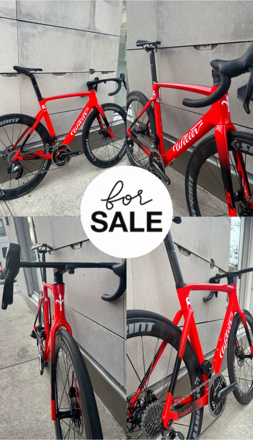 Wilier Red Road Bike