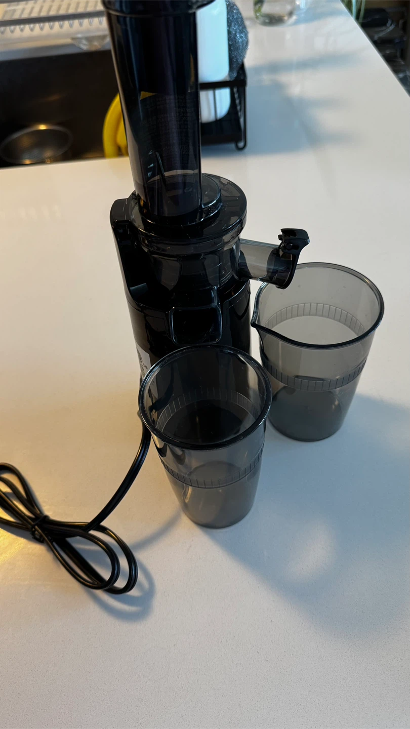 Mini Juicer