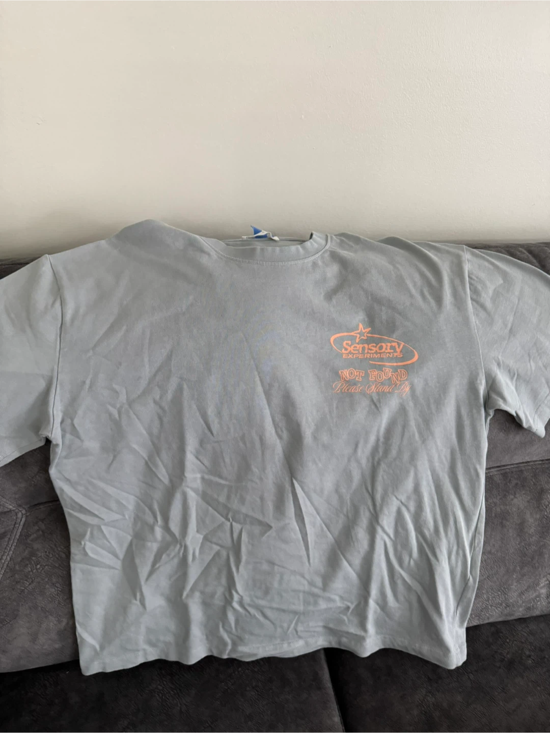 Sensory Experiments Graphic T-Shirt - Grey - Medium
