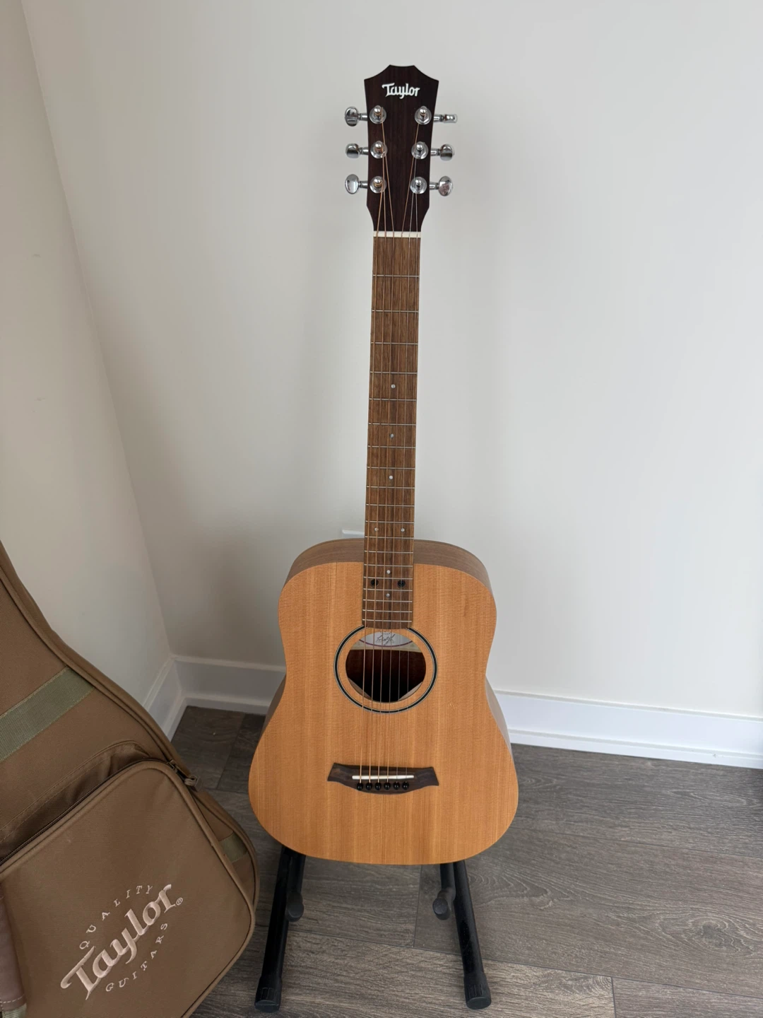 Taylor Baby Taylor BT1 Acoustic Guitar with Gig Bag - photo 2