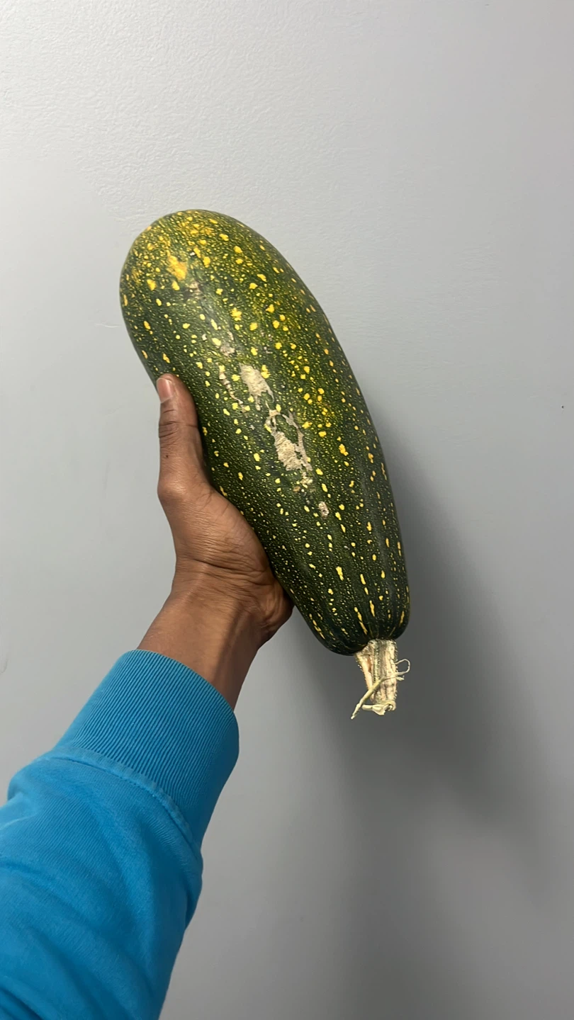 Large Zucchini