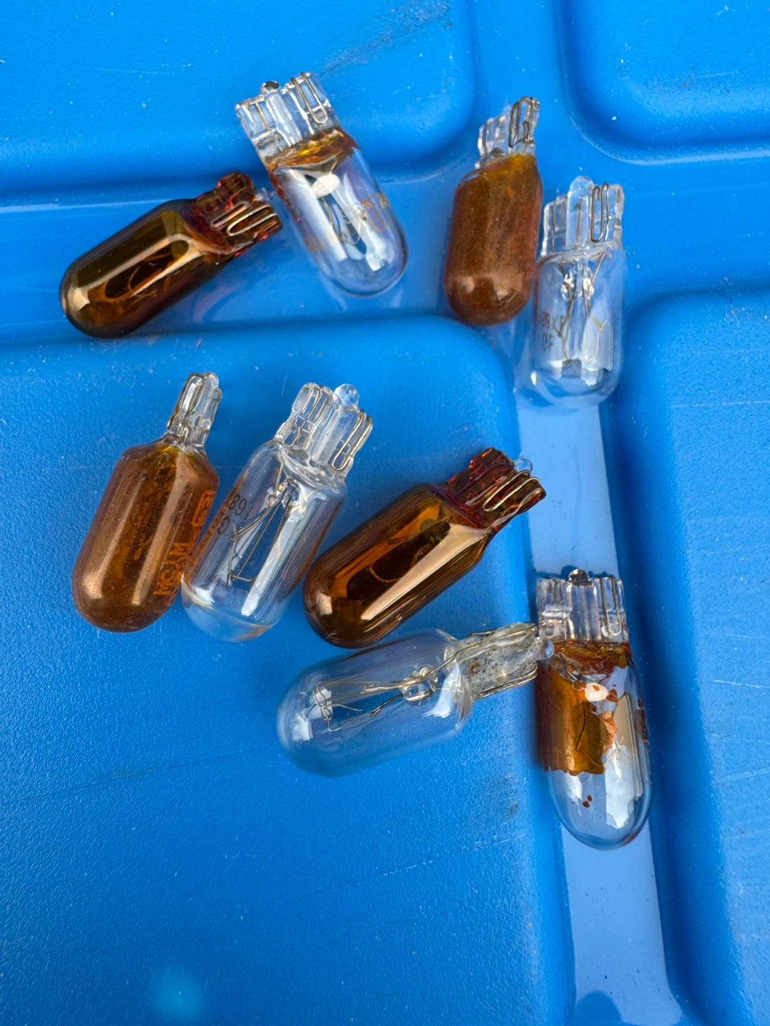 Certified 9006 Halogen Replacement Bulbs - photo 3