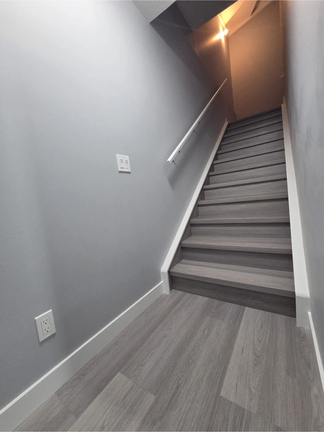1 Bedroom and 1 Den Basement for Rent - photo 3
