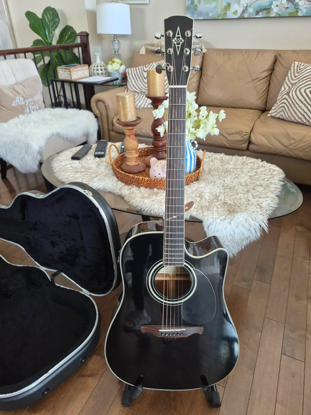 Alvarez Acoustic  Guitar with Hard Case